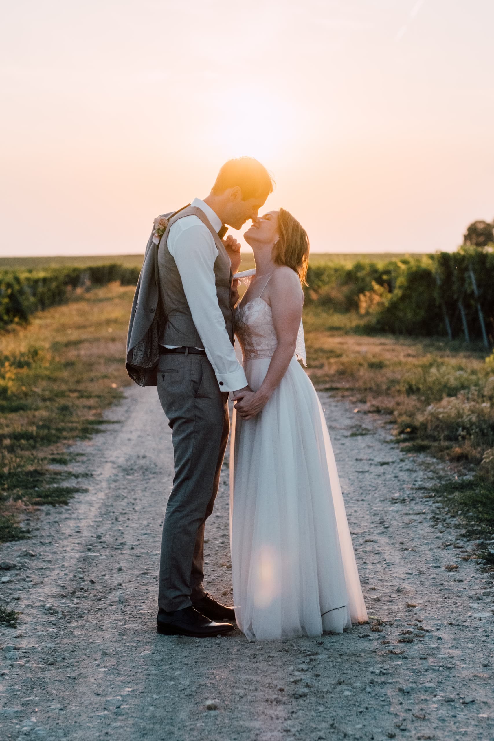 Bride and groom kiss on a track between vineyard rows with the sun low behind them