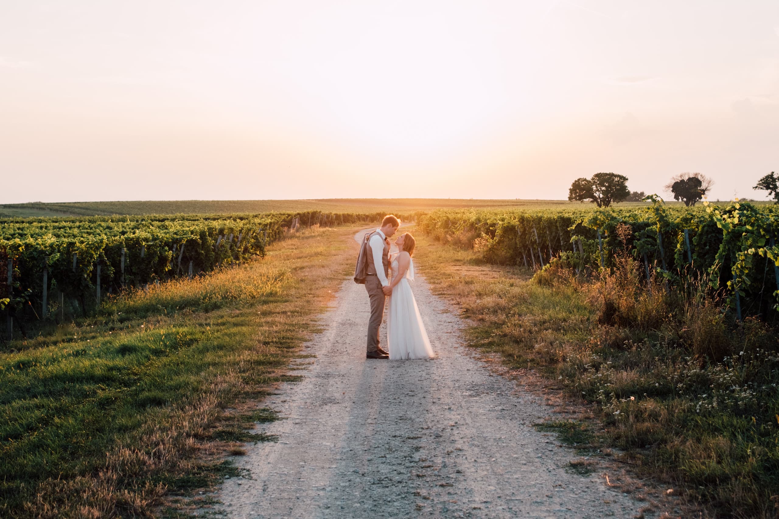 Couple embrace on a gravel track between vineyard rows at sunset